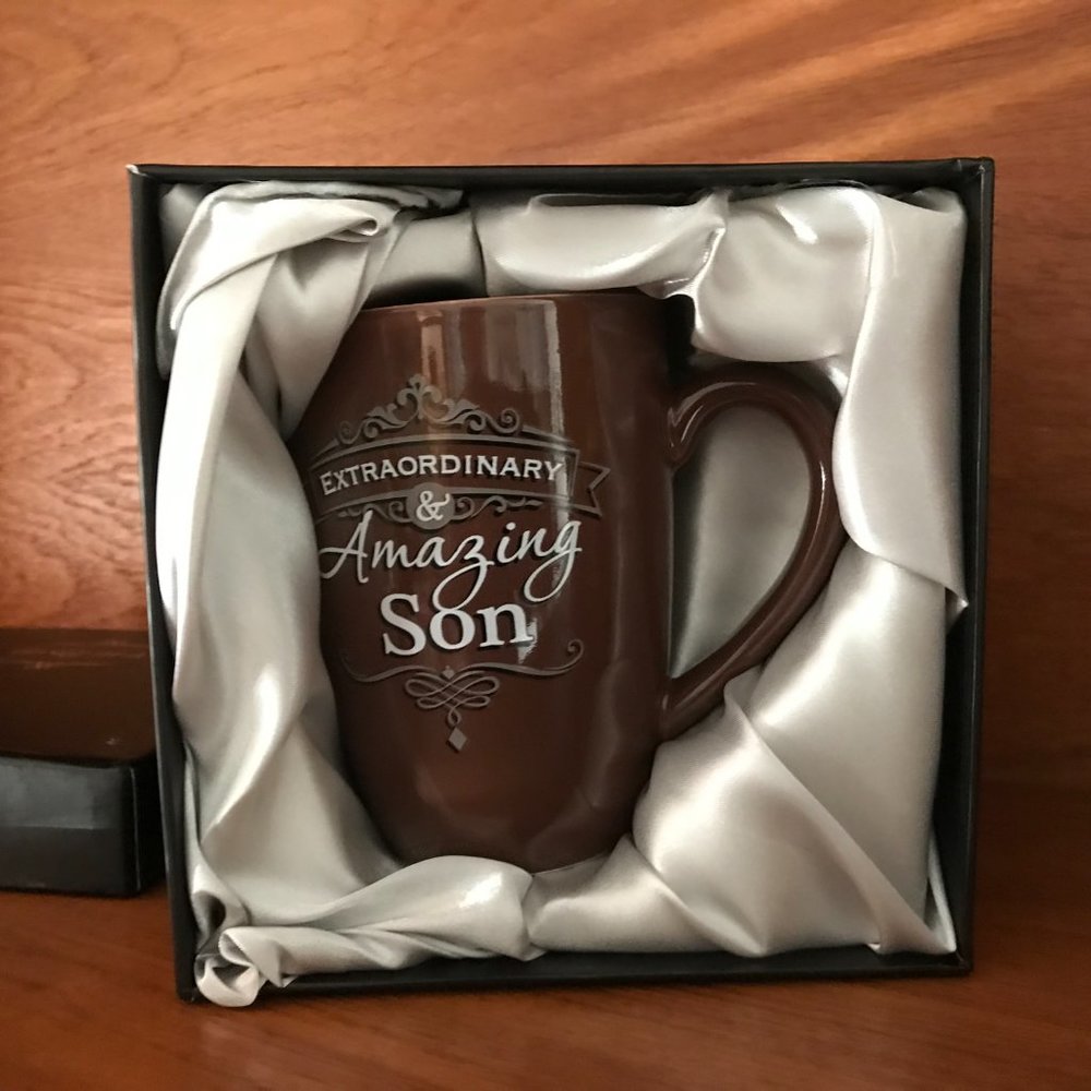 Insignia Extraordinary and Amazing Son Mug